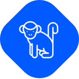 Icon ape
