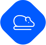 Icon mouse